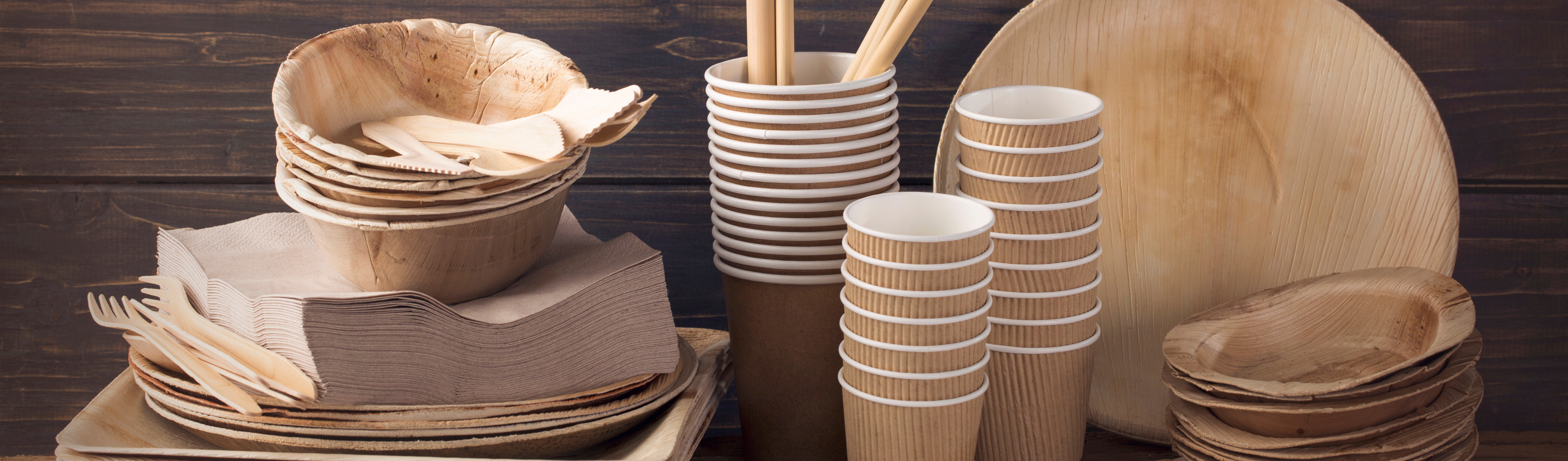 Einweggeschirr und nachhaltige Produkte – Zuckerrohr-Schalen, Bambusartikel & Kaffeebecher für umweltfreundliches Servieren