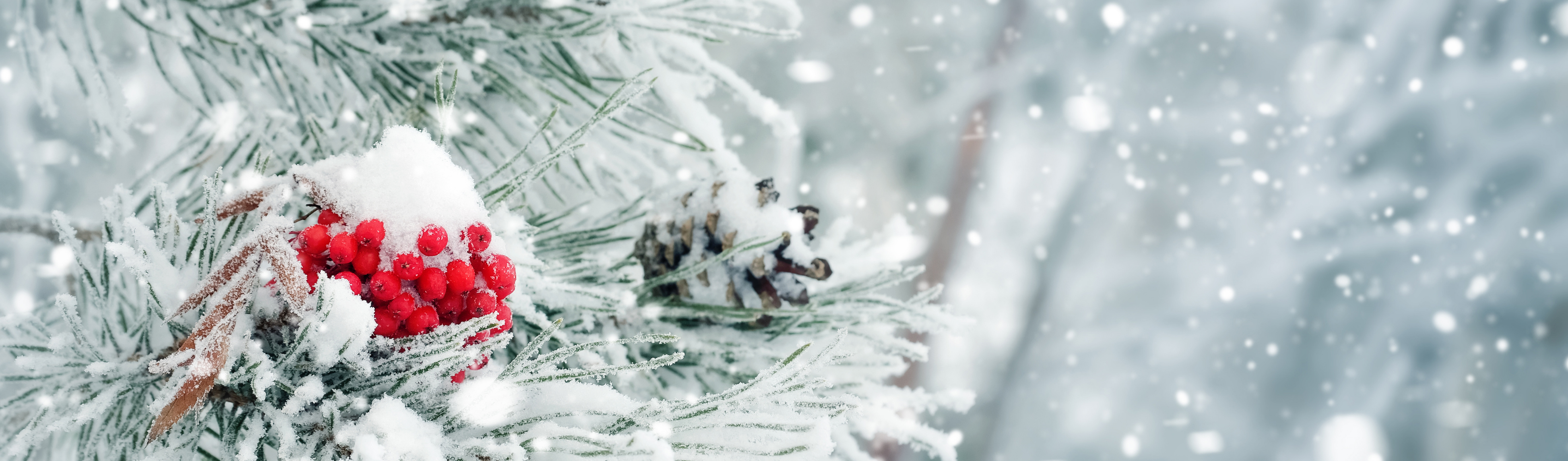 Winterprodukte – Heißgetränke, Pralinen & gemütliche Highlights für die kalte Jahreszeit